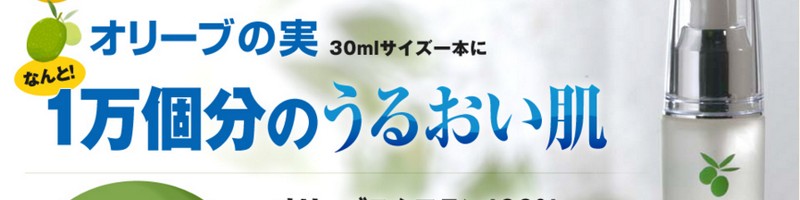 YH[OKADA̖YϕiTCg